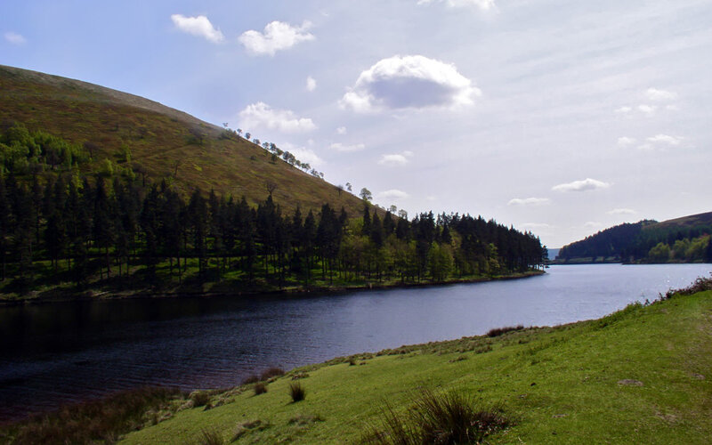 Lake in a green valley