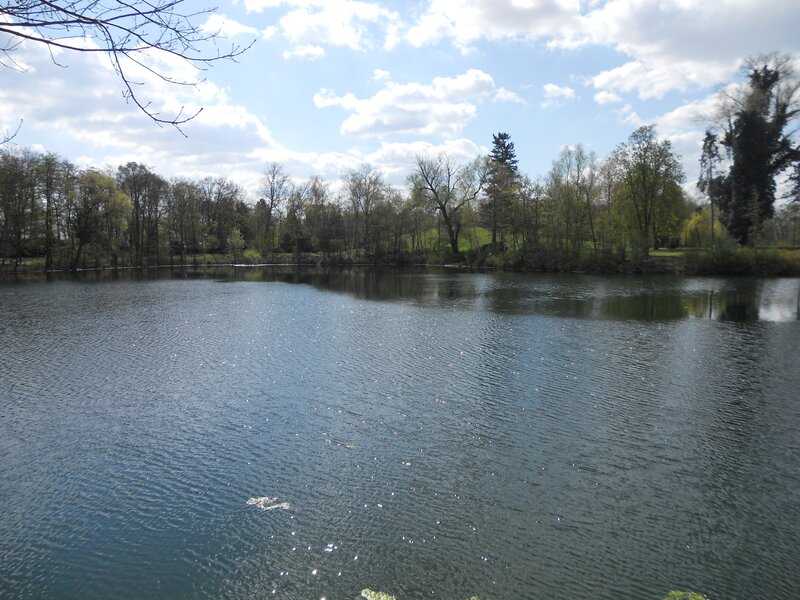 Lake in a park on a sunny day