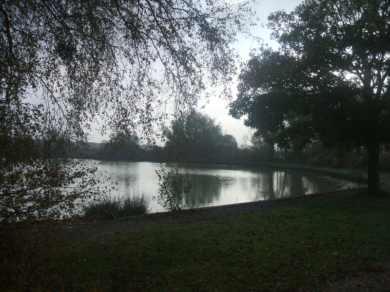Lake in a park on an overcast day