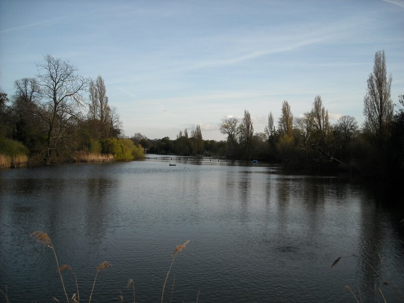 Lake in a park