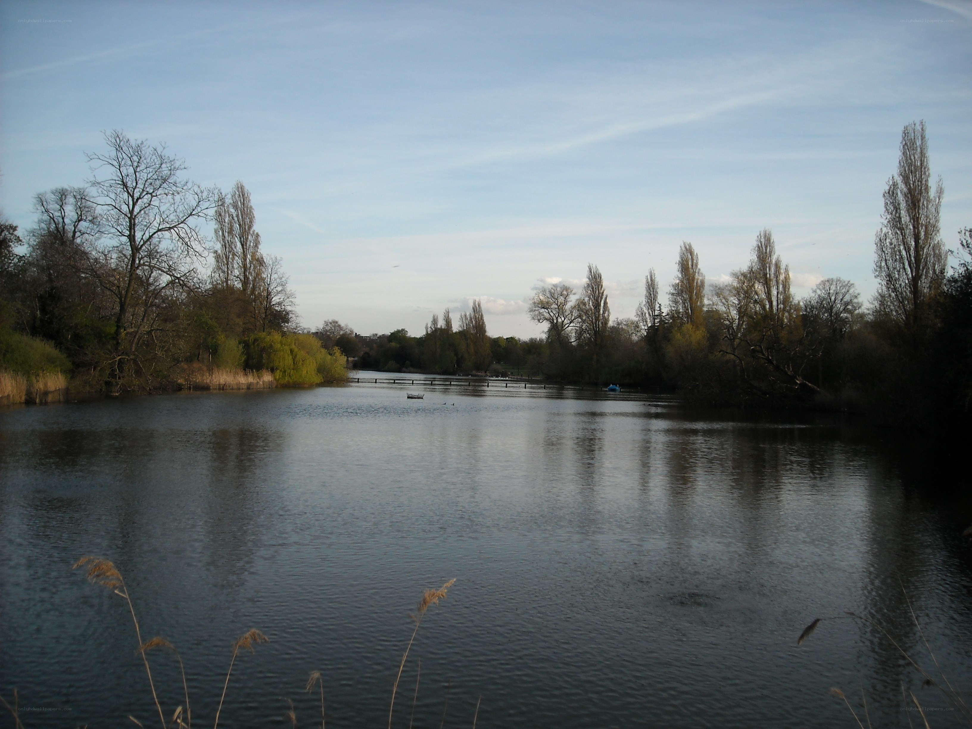 Lake in a park