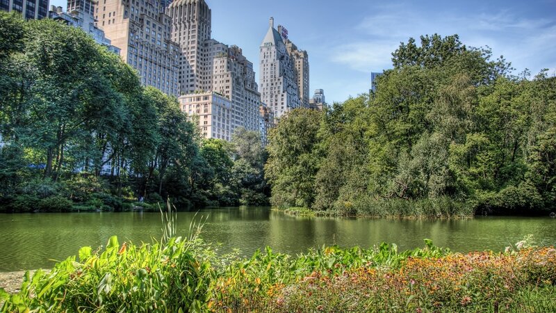 Lake in Central Park — Green