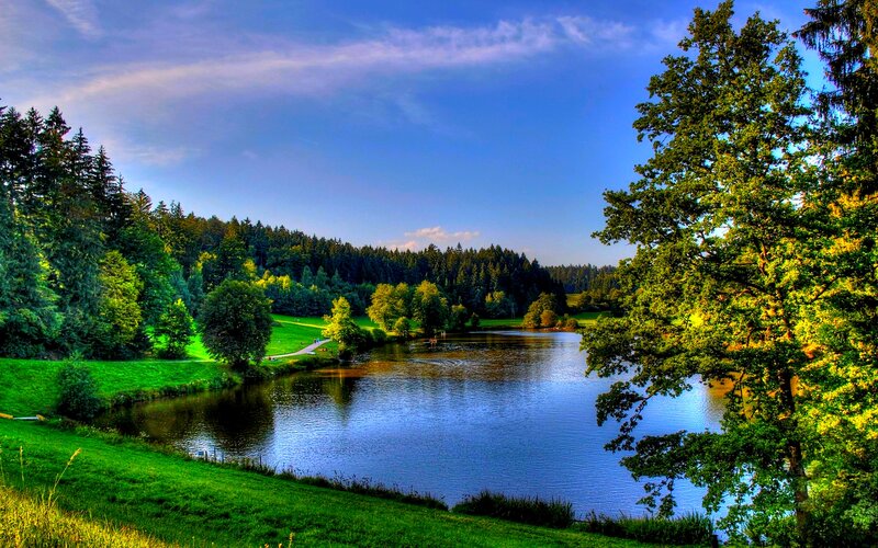 Lake in Forest Park