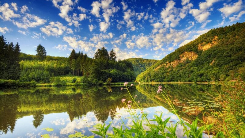 Lake in Forest Valley — Blue, Serene, Afternoon, Photograph, Trees, Clouds, Flowers, Reflection