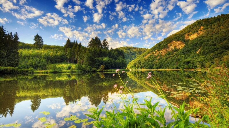 Lake in Forest Valley — Blue, Serene, Afternoon, Photograph, Trees, Clouds, Flowers