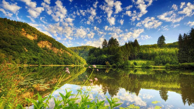 Lake in Forest Valley — Blue, Serene, Afternoon