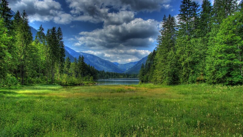 Lake in Forest Valley — Green, Serene, Afternoon, Photograph, Mountains
