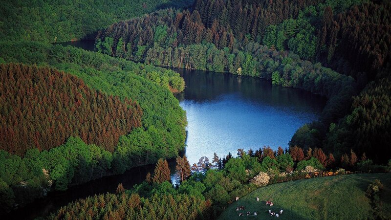 Lake in Forest Valley — Green, Serene, Afternoon, Photograph