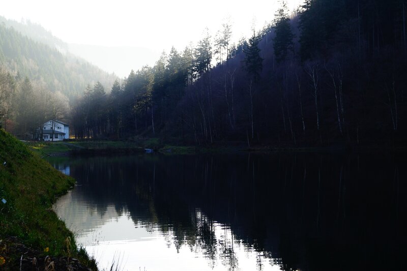 Lake in Forest Valley — Green, Serene, Morning