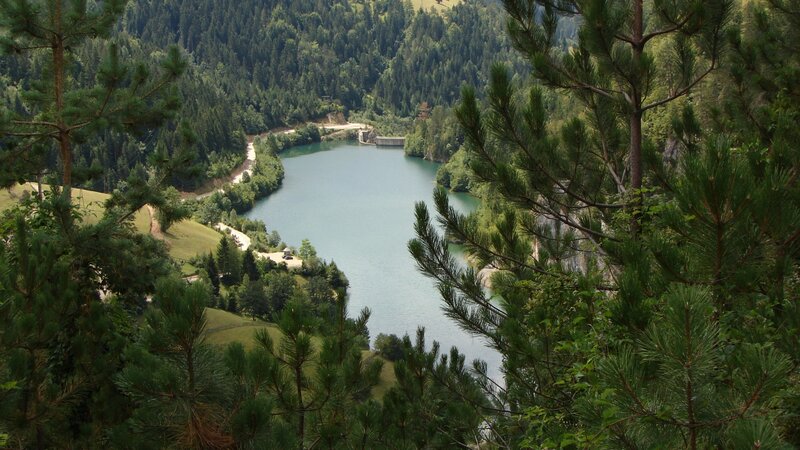 Lake in Forest Valley — Green, Serene