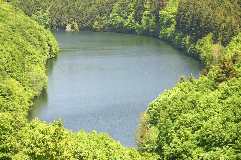 Lake in Forest Valley — Green