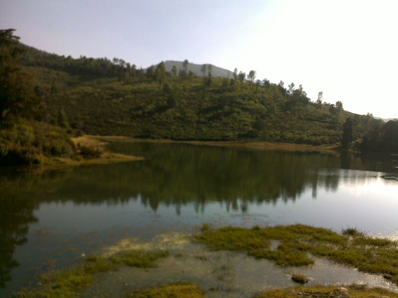 Lake in Forested Hills