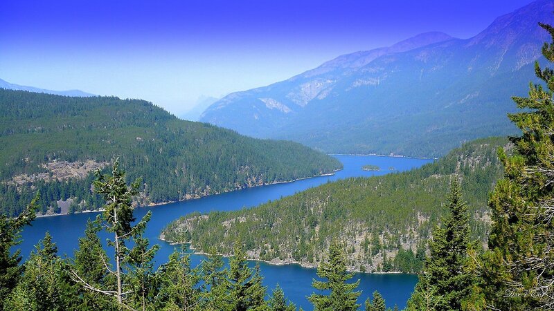 Lake in forested mountain valley