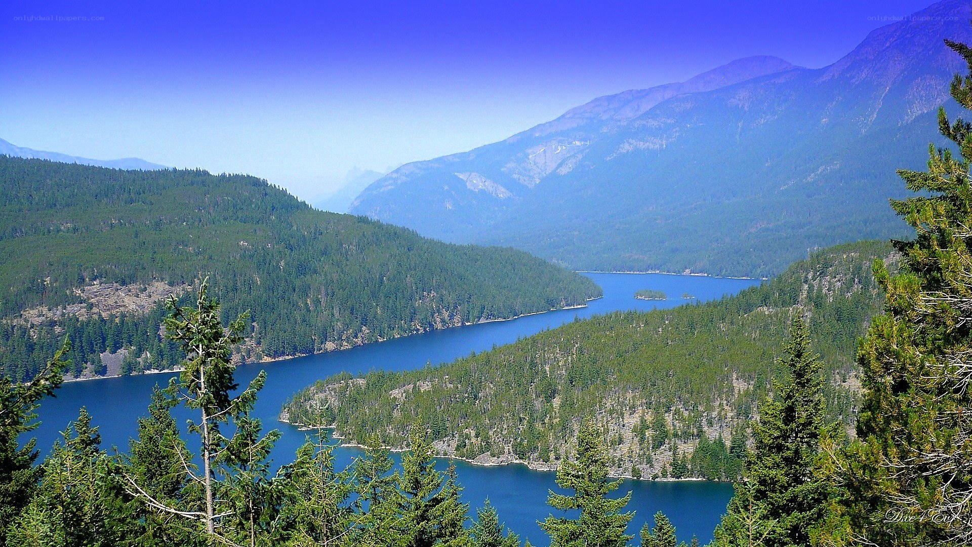 Lake in forested mountain valley