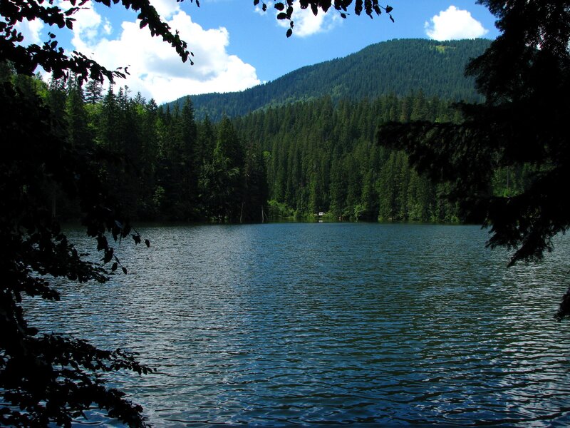 Lake in forested mountain valley