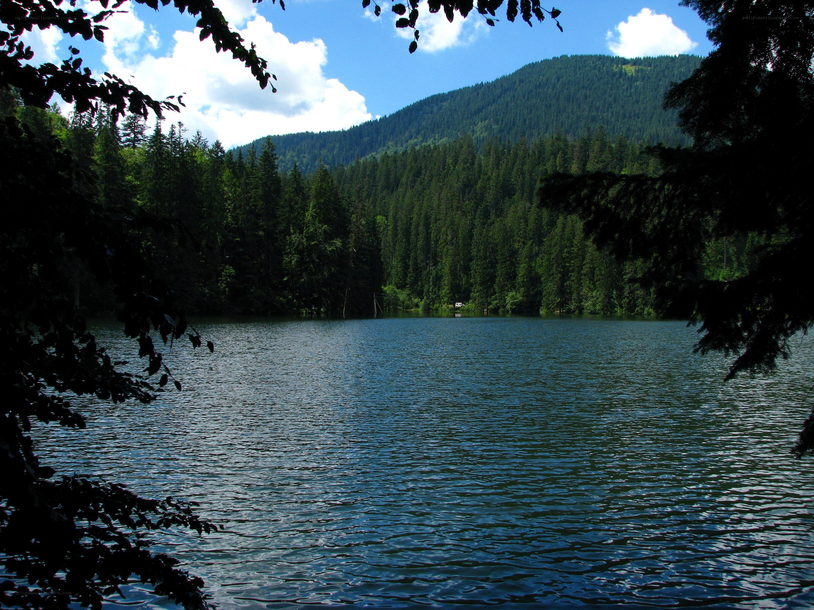 Lake in forested mountain valley