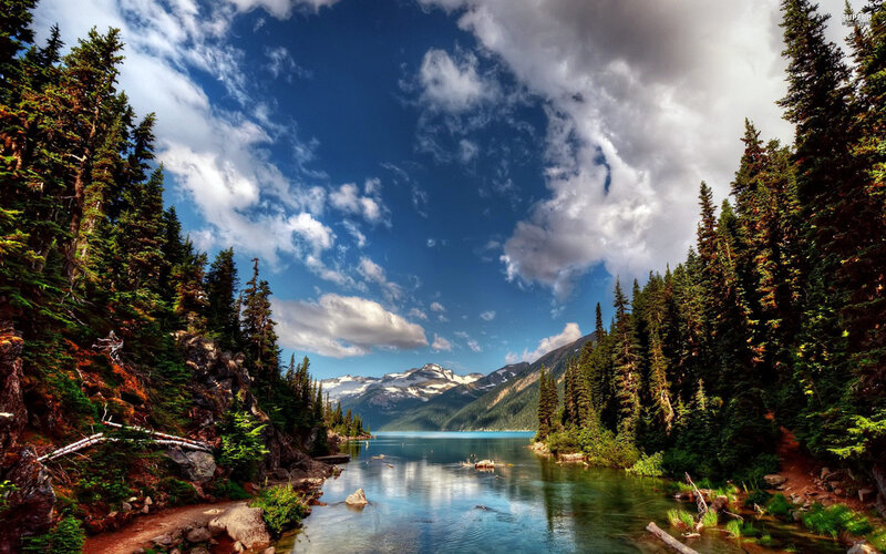 Lake in Forested Mountains — Blue