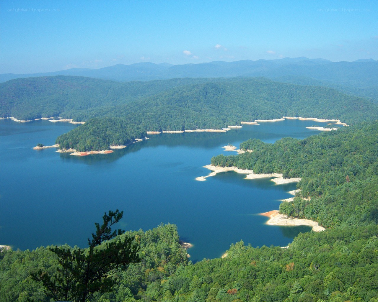 Lake in forested mountains