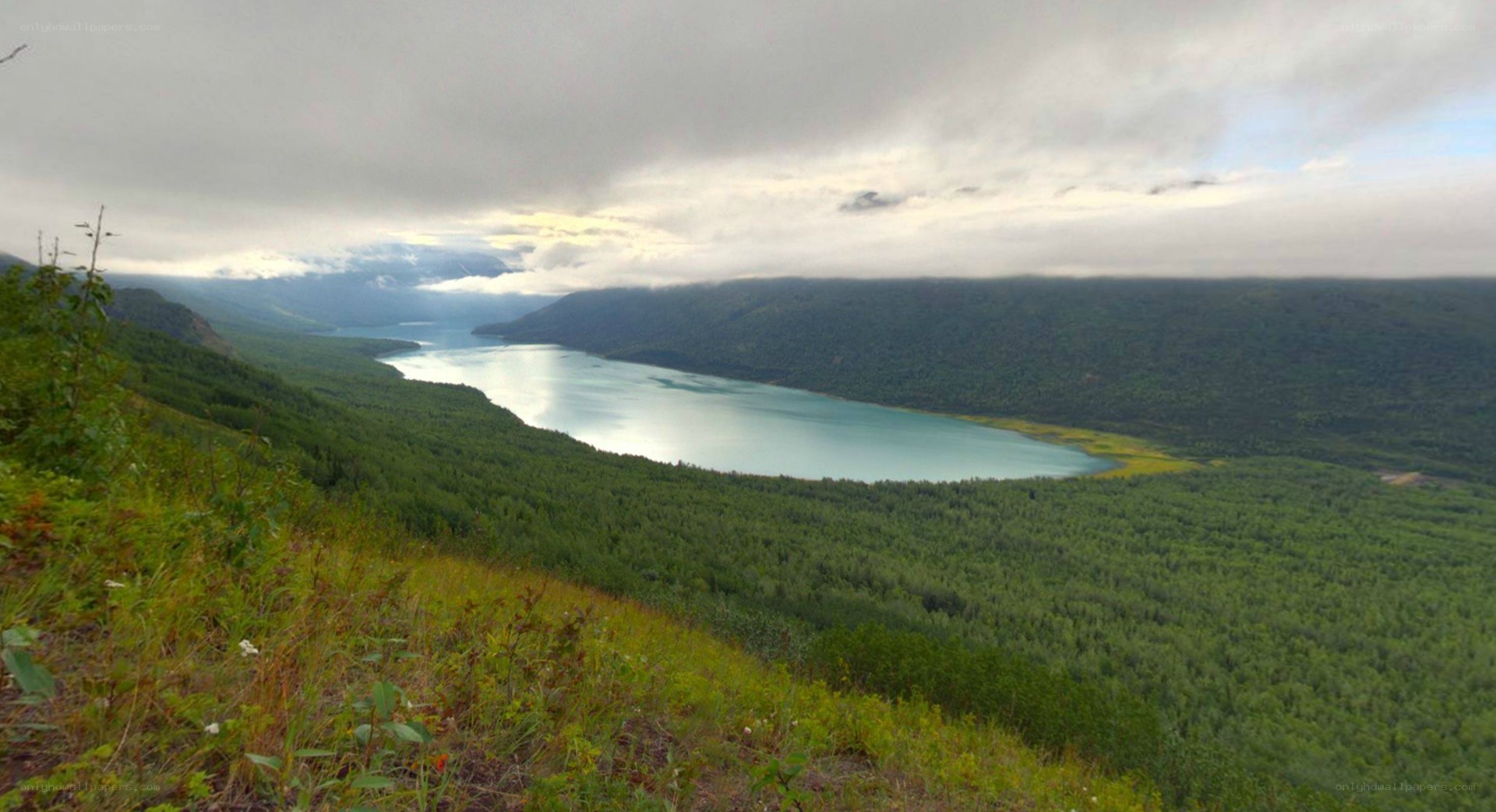 Lake in forested valley