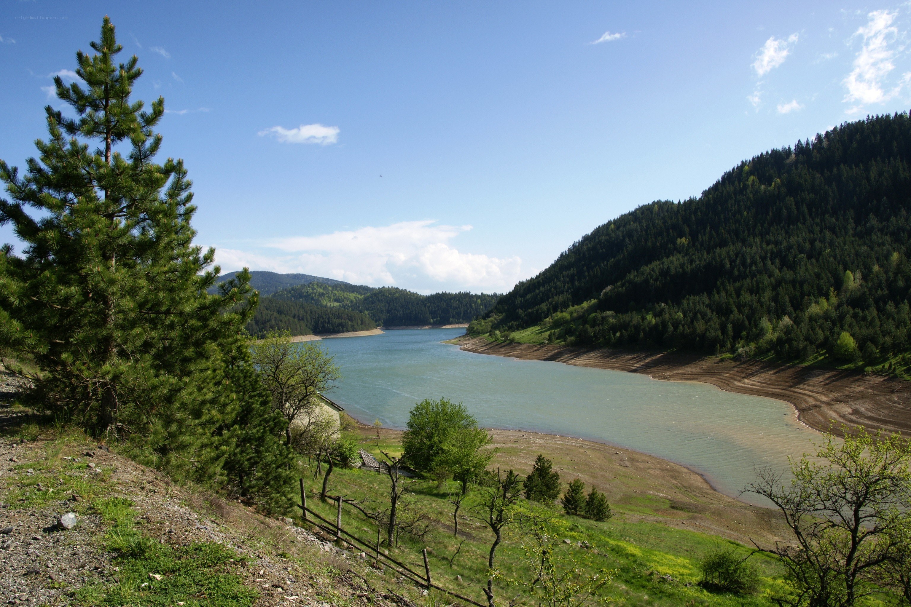 Lake in forested valley