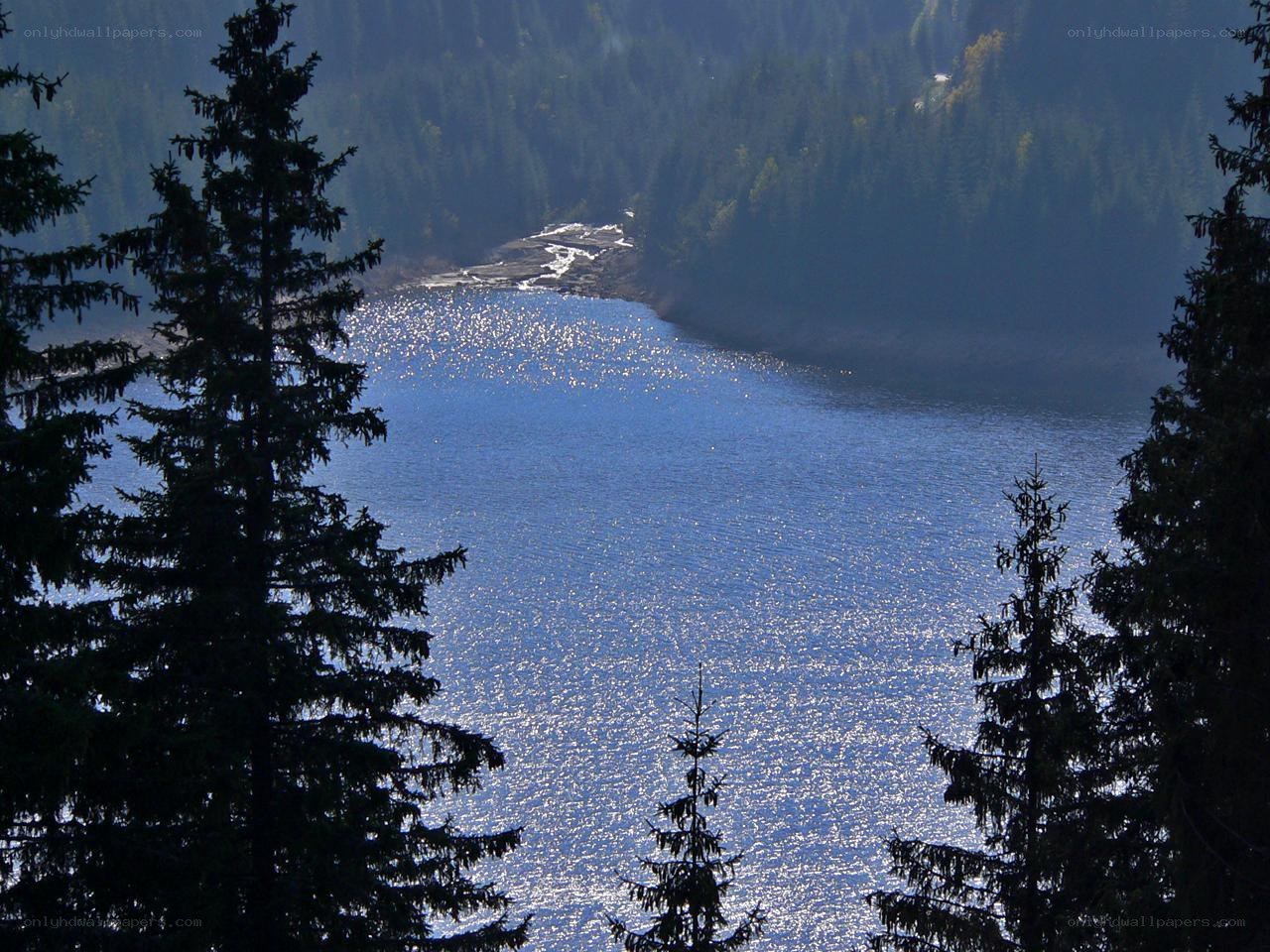 Lake in forested valley