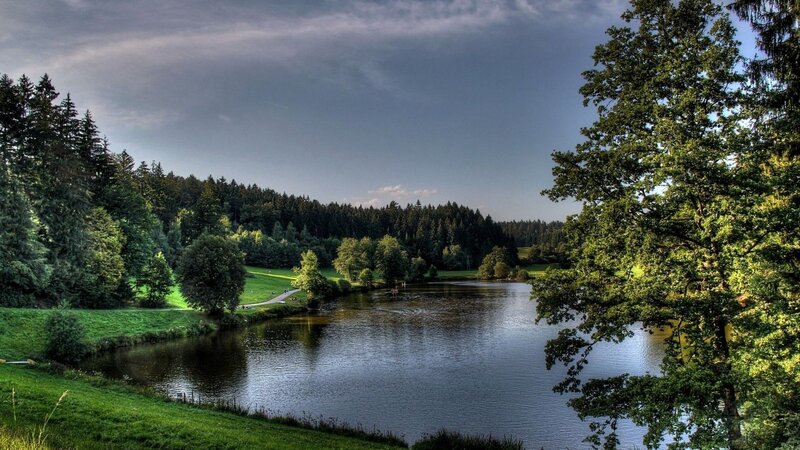 Lake in Forested Valley — Green, Serene, Afternoon, Photograph, Trees, Grass, Path