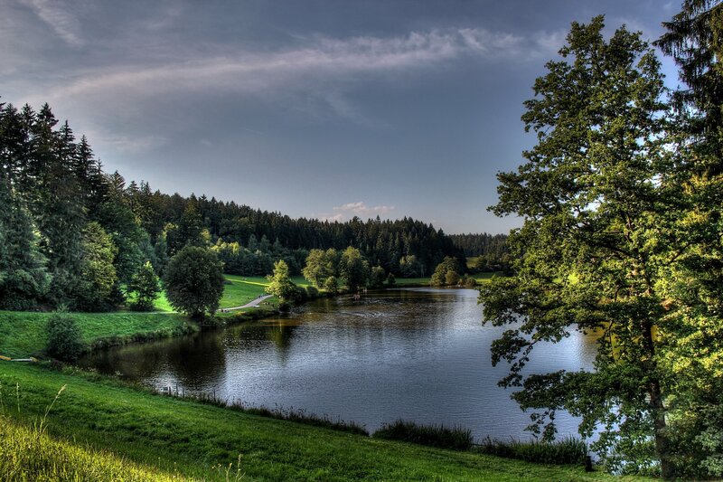 Lake in Forested Valley — Green, Serene, Afternoon, Photograph, Trees, Grass
