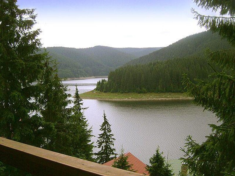 Lake in Forested Valley — Green, Serene, Afternoon, Photograph, Trees, Mountains