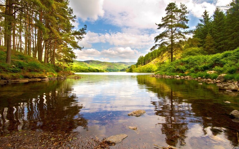 Lake in Forested Valley — Green, Serene, Afternoon, Photograph, Trees