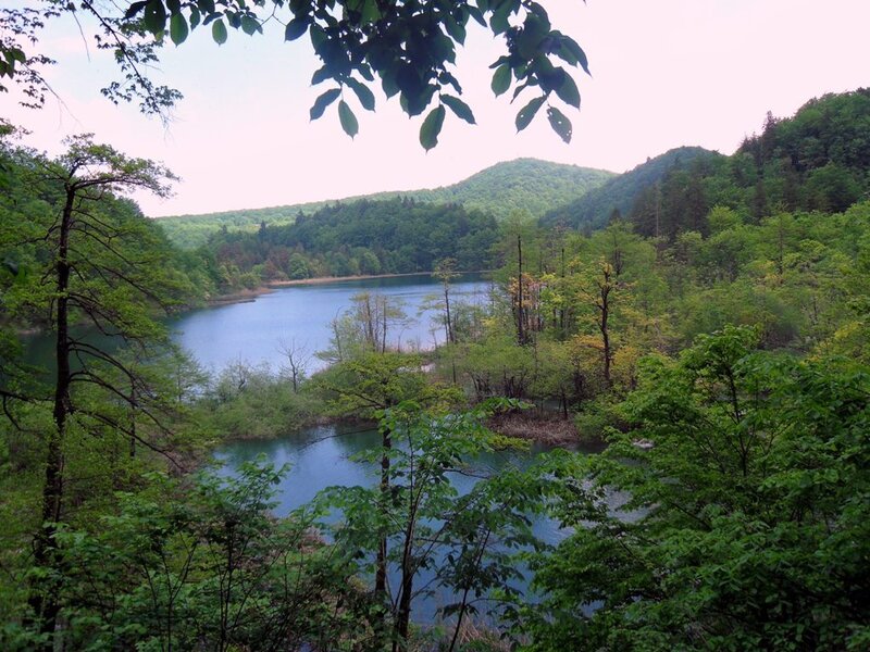 Lake in Forested Valley — Green