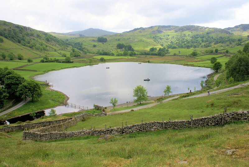 Lake in Green Valley — Serene, Afternoon
