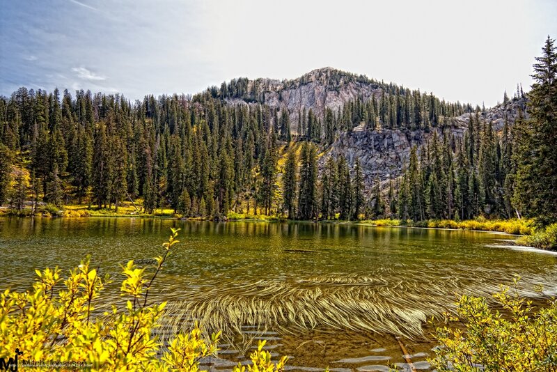 Lake in Mountain Forest — Green