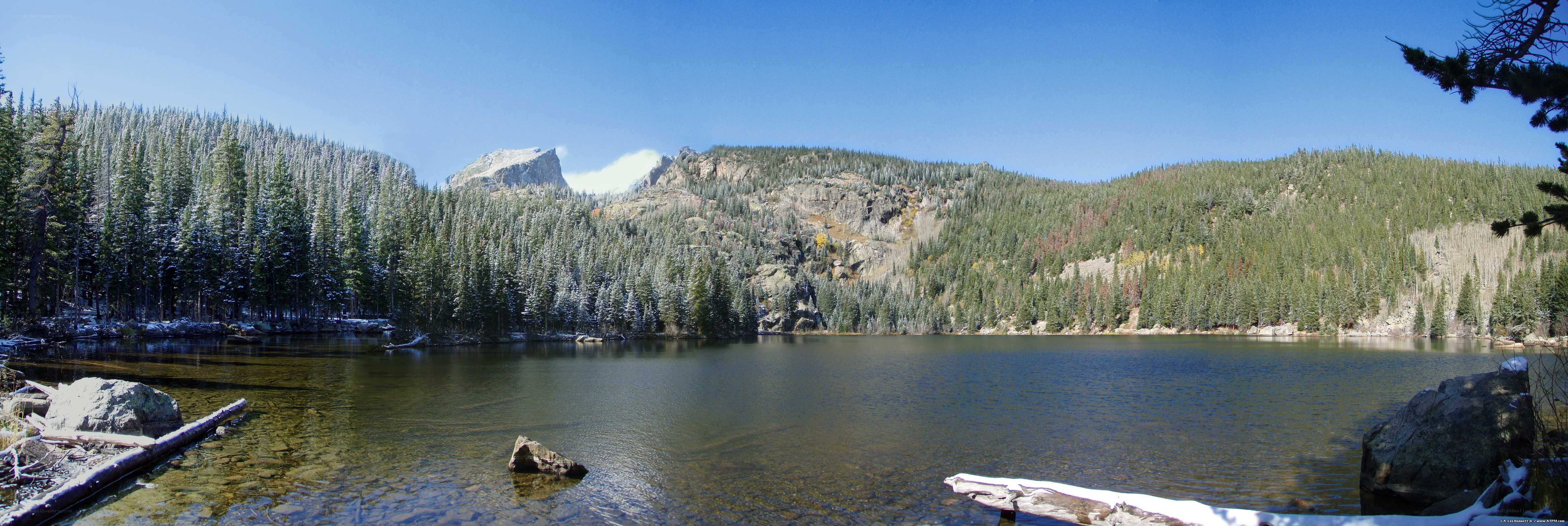 Lake in mountain forest
