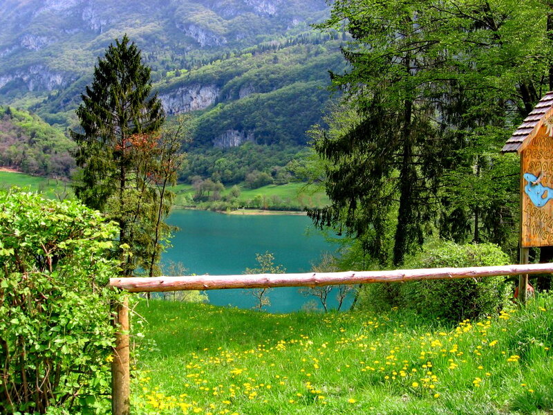 Lake in Mountain Valley — Green, Serene, Spring