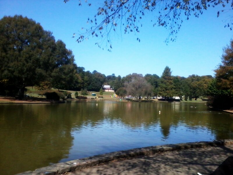 Lake in Park