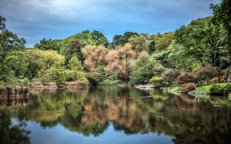 Lake in Park with Bridge
