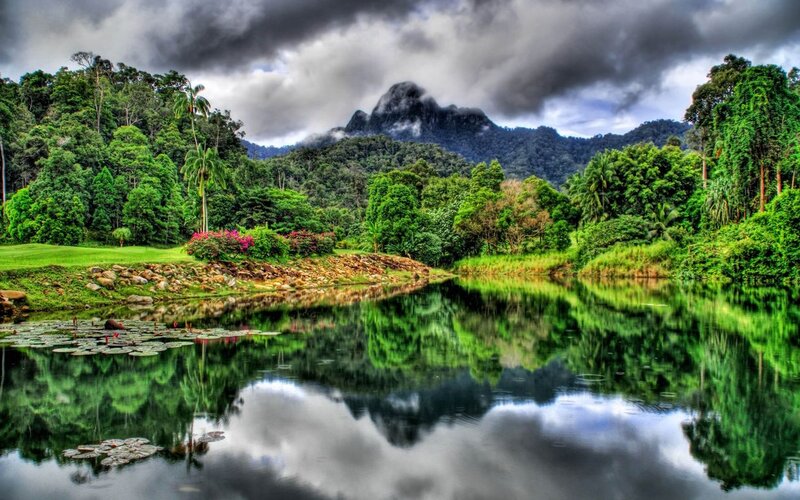 Lake in Tropical Forest — Green