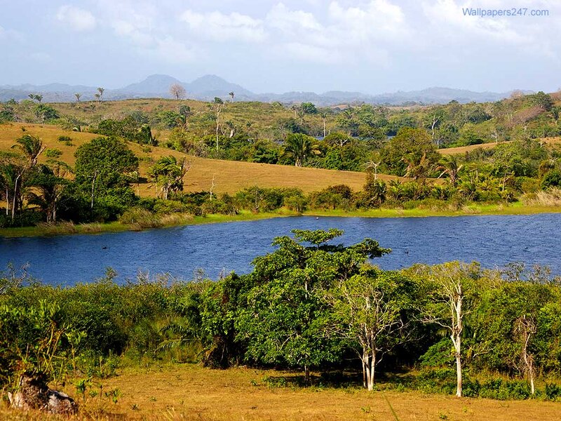 Lake in Tropical Landscape