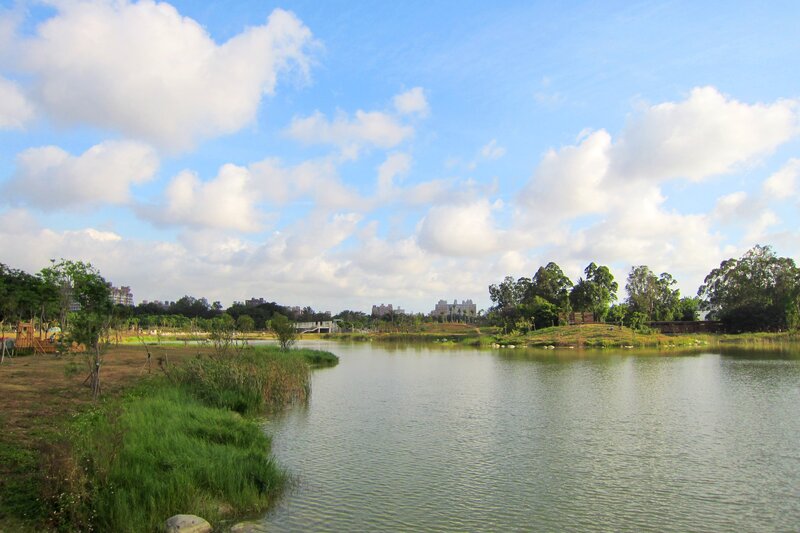 Lake in Urban Park