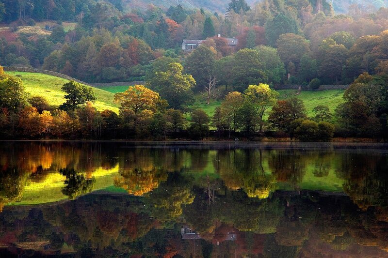 Lake Reflecting Autumn Trees