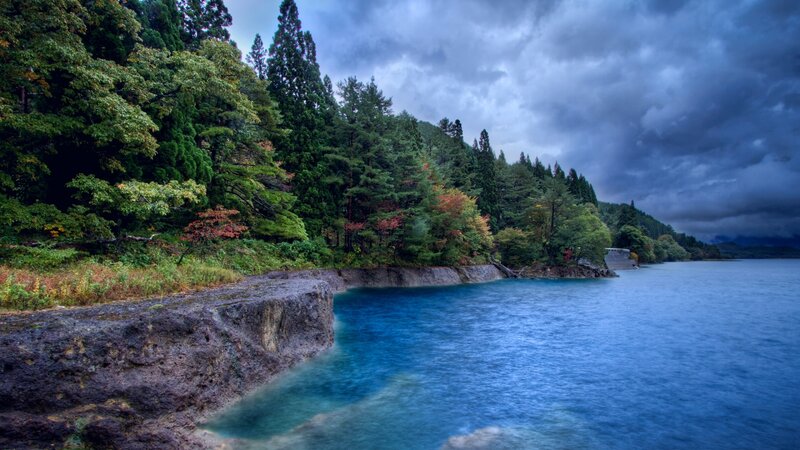 Lake Shore with Forest
