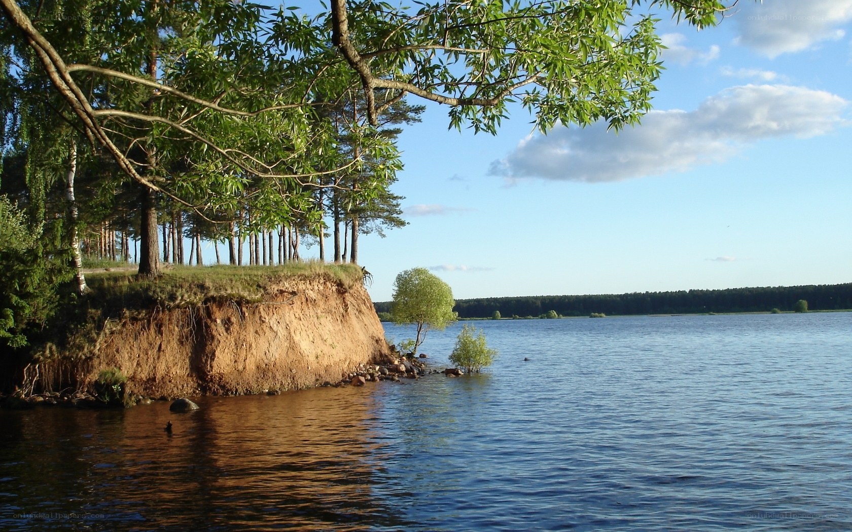 Lake shore with forested cliff