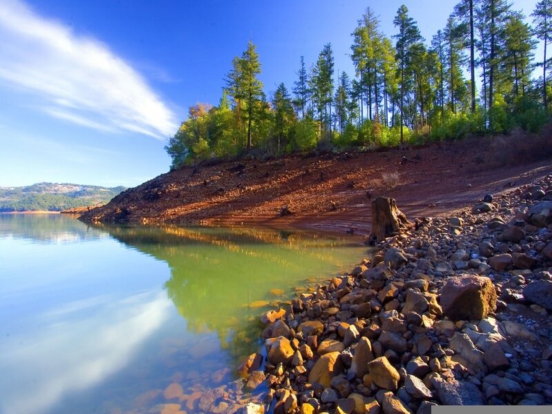 Lake shore with forested hill