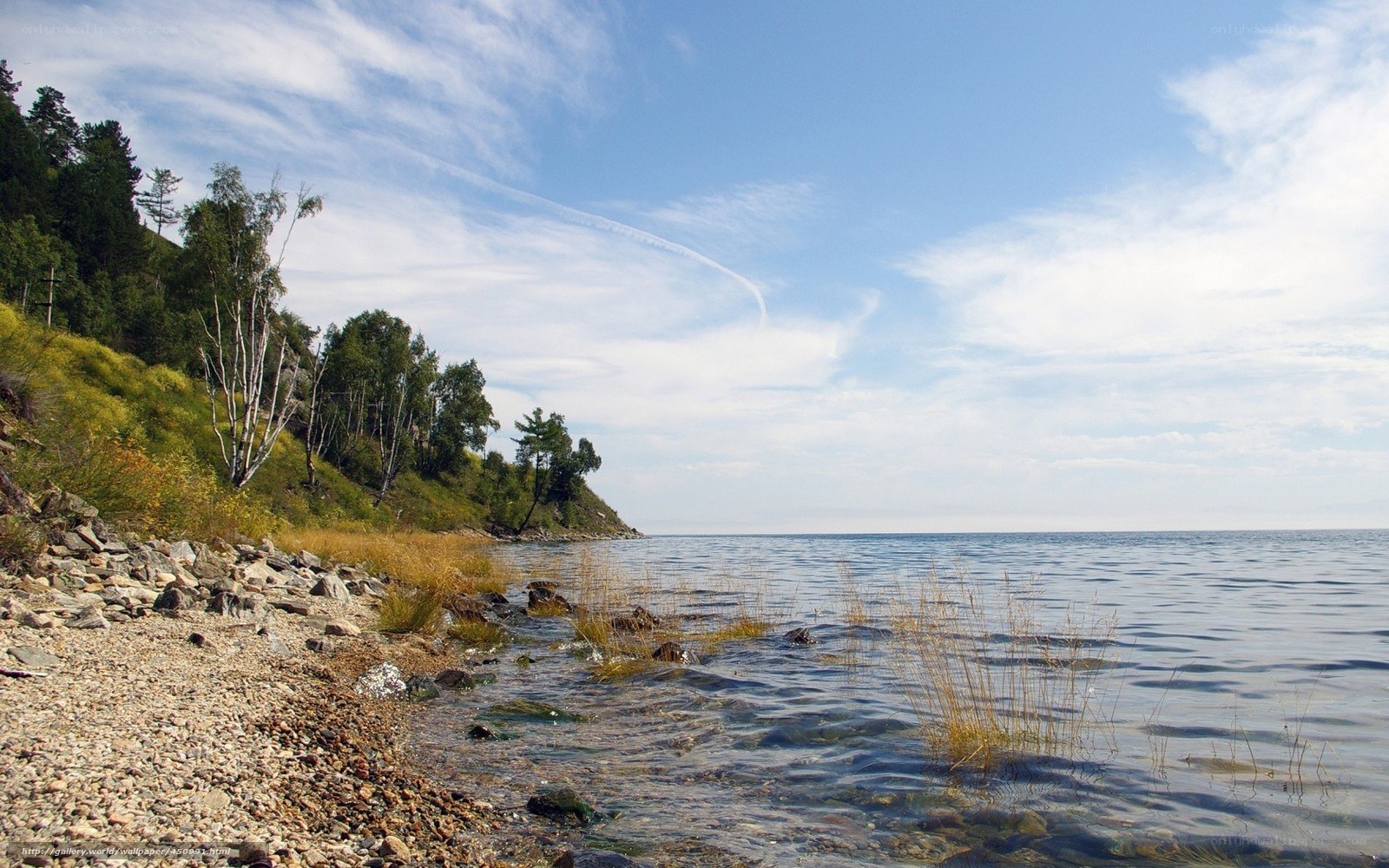 Lake shore with forested hill