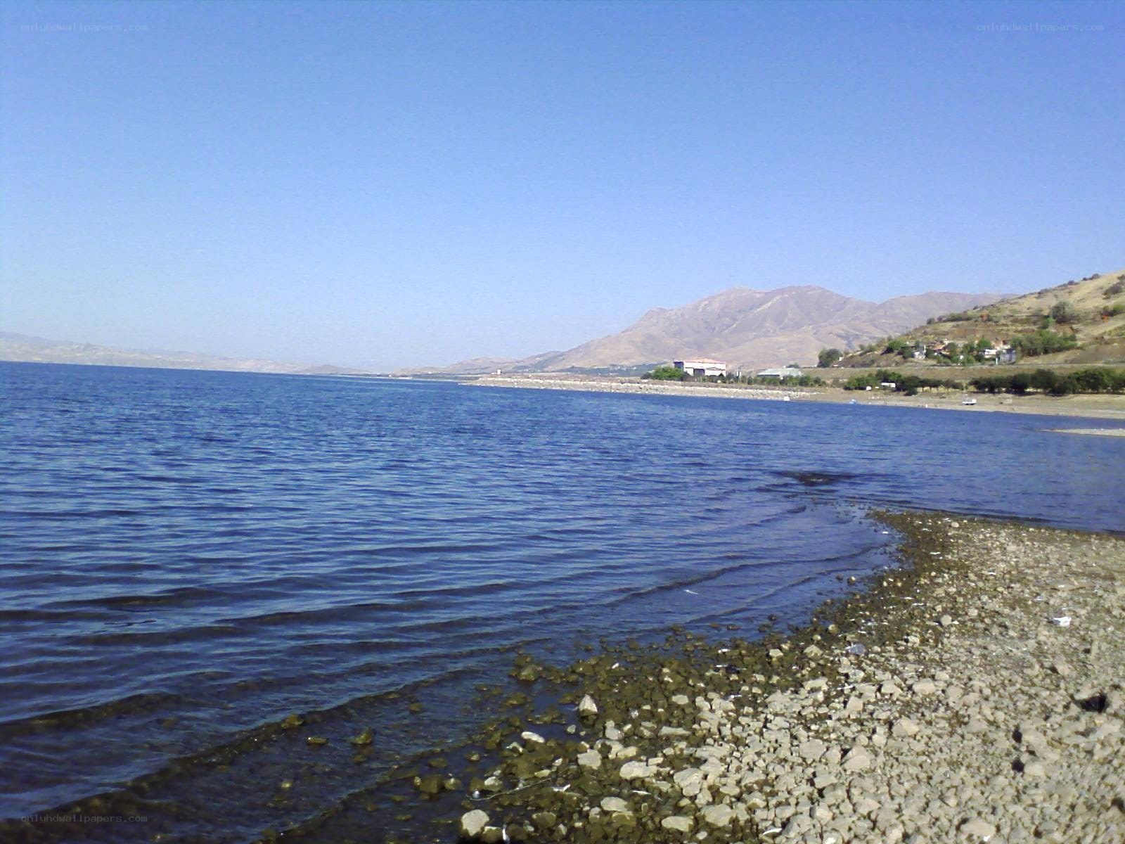 Lake shore with mountains in background