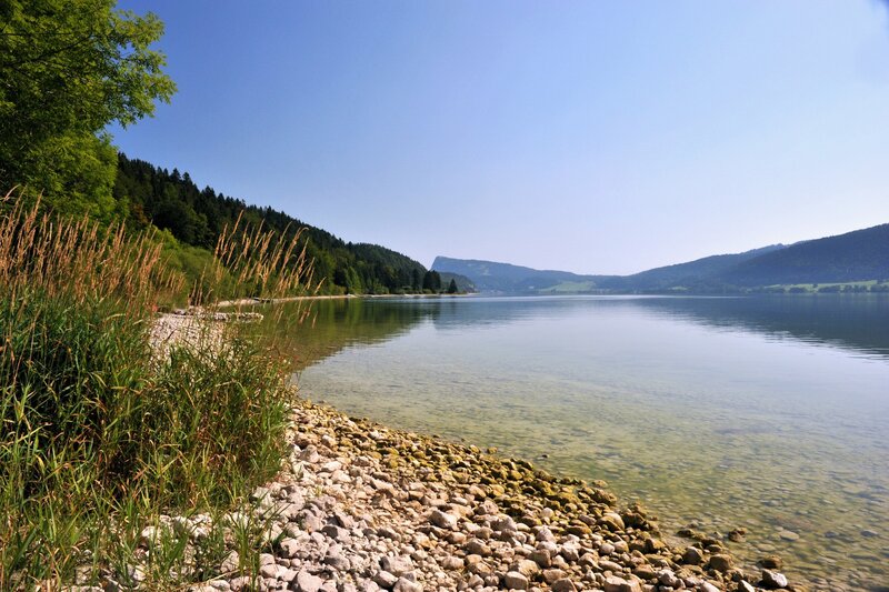Lake shore with reeds and mountains