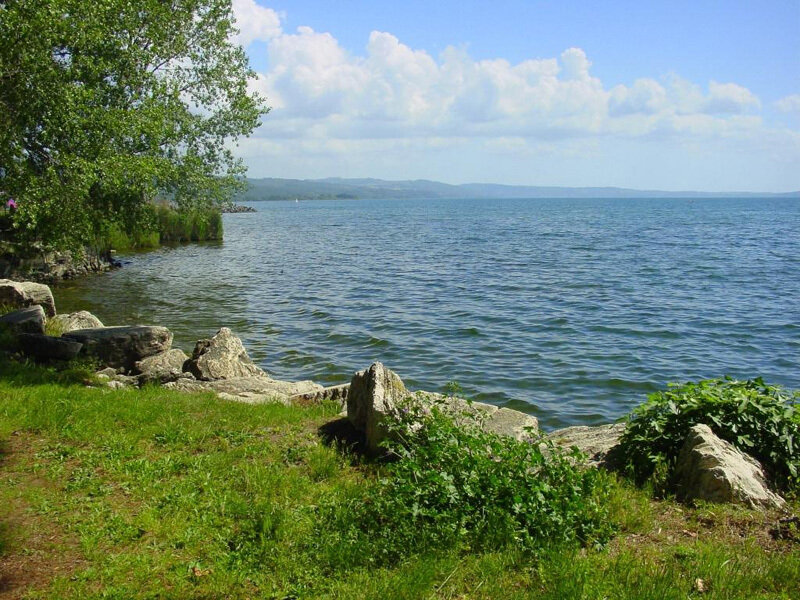 Lake Shore with Rocks