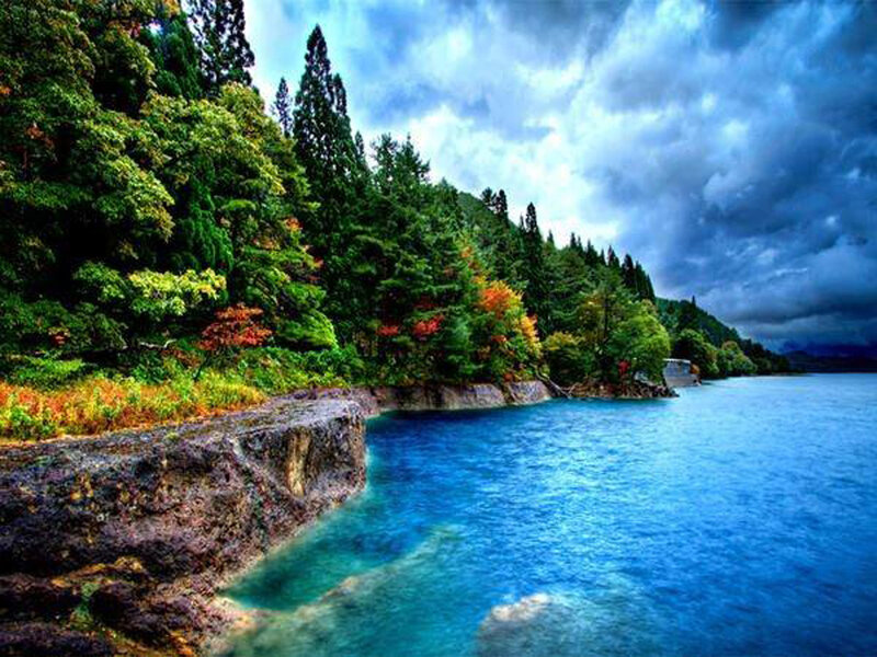 Lake Shore with Trees — Blue, Dramatic