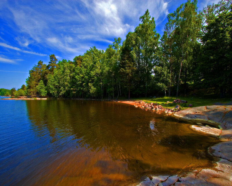 Lake Shore with Trees — Blue, Serene