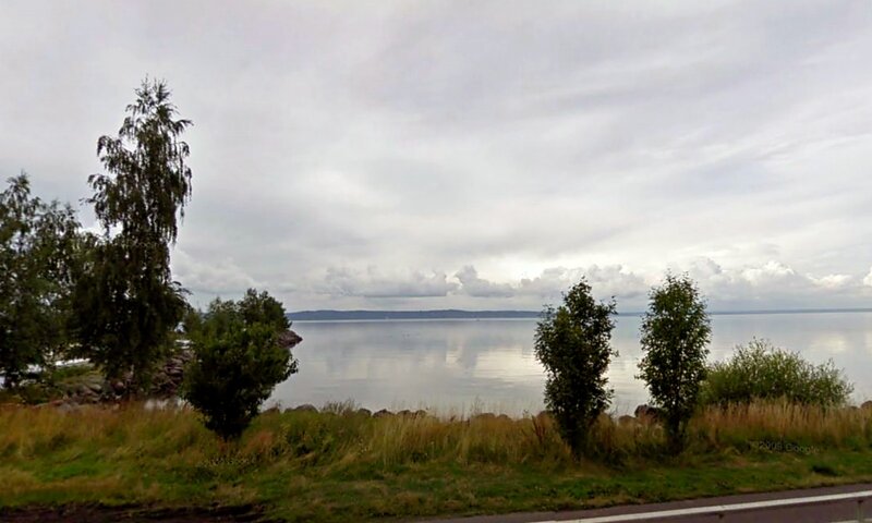 Lake Shore with Trees